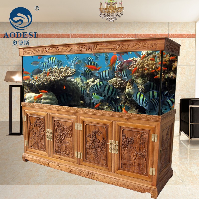 銀鯊魚（銀鯊魚價格多少錢一只）