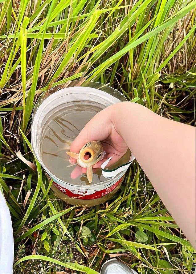 七八斤魚用多大線組【野釣七八斤大魚線組搭配全攻略】