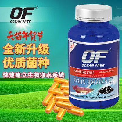 創(chuàng)寧水泵怎么外置(創(chuàng)寧水泵外置容易壞嗎)