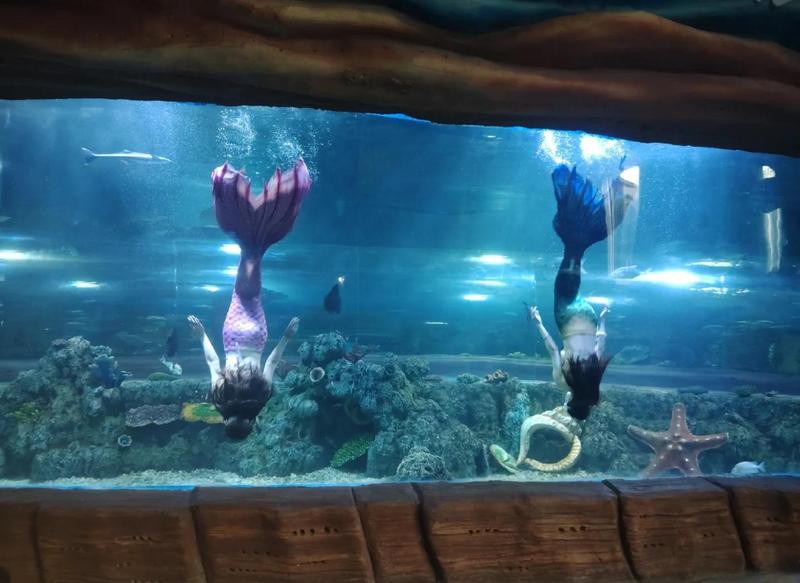 庫(kù)爾勒水族店，庫(kù)爾勒市擁有多家特色鮮明的水族店，為當(dāng)?shù)鼐用窦皭?ài)好者提供了豐富的選擇