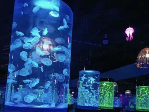 庫(kù)爾勒水族店，庫(kù)爾勒市擁有多家特色鮮明的水族店，為當(dāng)?shù)鼐用窦皭?ài)好者提供了豐富的選擇