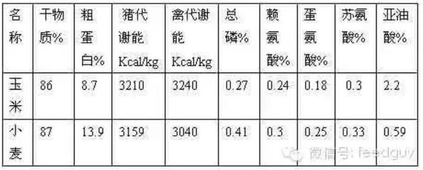 豬鼻龜哪年被列入二級保護動物名單的原因有哪些(豬鼻龜被列入國家二級動物了么)