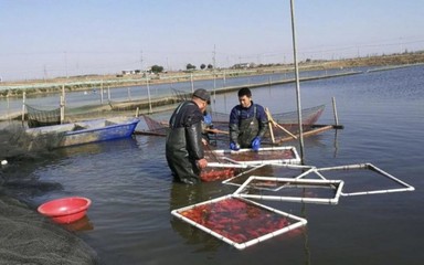 釣大魚高清大圖：釣大魚高清大圖大全