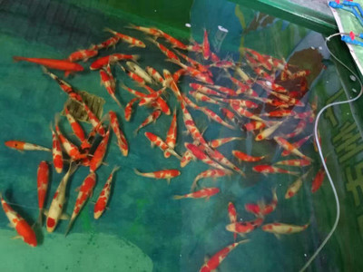 森森好還是創(chuàng)寧好