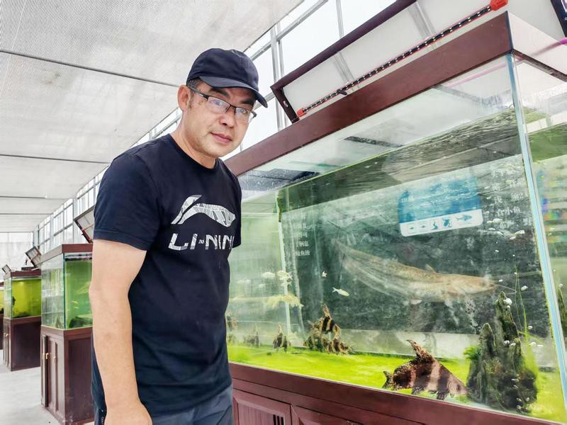 儀征龍魚店【儀征龍魚養殖與貿易】