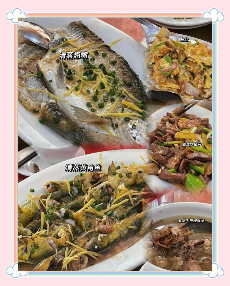 乳源龍魚店，乳源龍魚店的評價