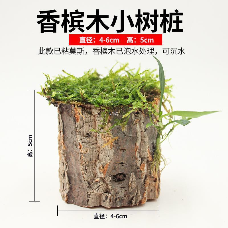 創寧水泵怎么樣質量好嗎(創寧水泵怎么樣質量好嗎)