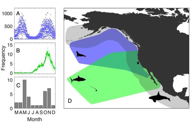 創寧和森森水泵哪個好一點(水泵森森和創星哪個好)