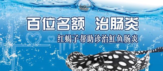 魟魚腸炎表現癥狀視頻：魟魚腸炎癥狀