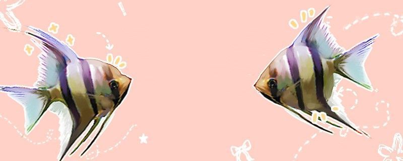 星巴克咖啡豆種類13種圖片(星巴克咖啡豆種類13種圖片大全)