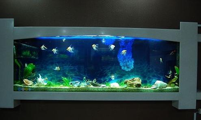 四川觀賞魚漁場（成都西門歡樂塘釣魚推薦） 四川觀賞魚漁場（成都西門歡樂塘釣魚推薦） iwish愛唯希品牌魚缸 第2張