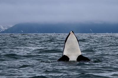 創寧水泵屬于哪個公司旗下品牌(創寧水泵是誰家代工的)