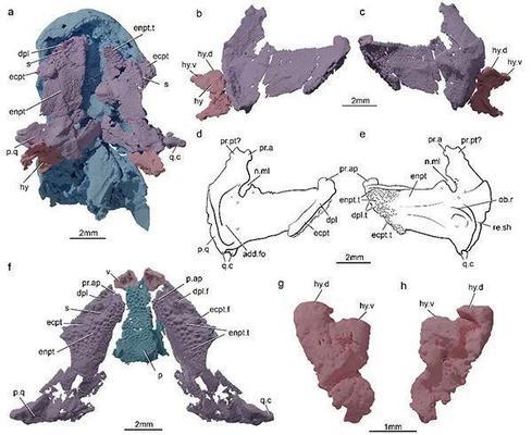 創寧變頻水泵使用說明書圖片大全(創寧變頻水泵哪個型號好用) 創寧變頻水泵使用說明書圖片大全(創寧變頻水泵哪個型號好用) 創寧水族 第1張