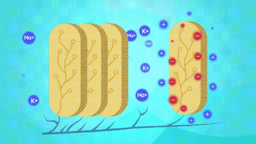 創寧變頻水泵型號的區別和用途（創寧變頻水泵新款老款有什么區別）