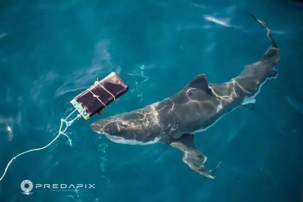 創(chuàng)寧水泵好用嗎怎么樣(創(chuàng)寧水泵好用嗎怎么樣啊)