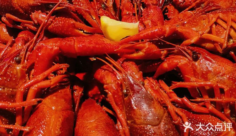 寧縣龍魚店，寧縣龍魚市場的價格如何