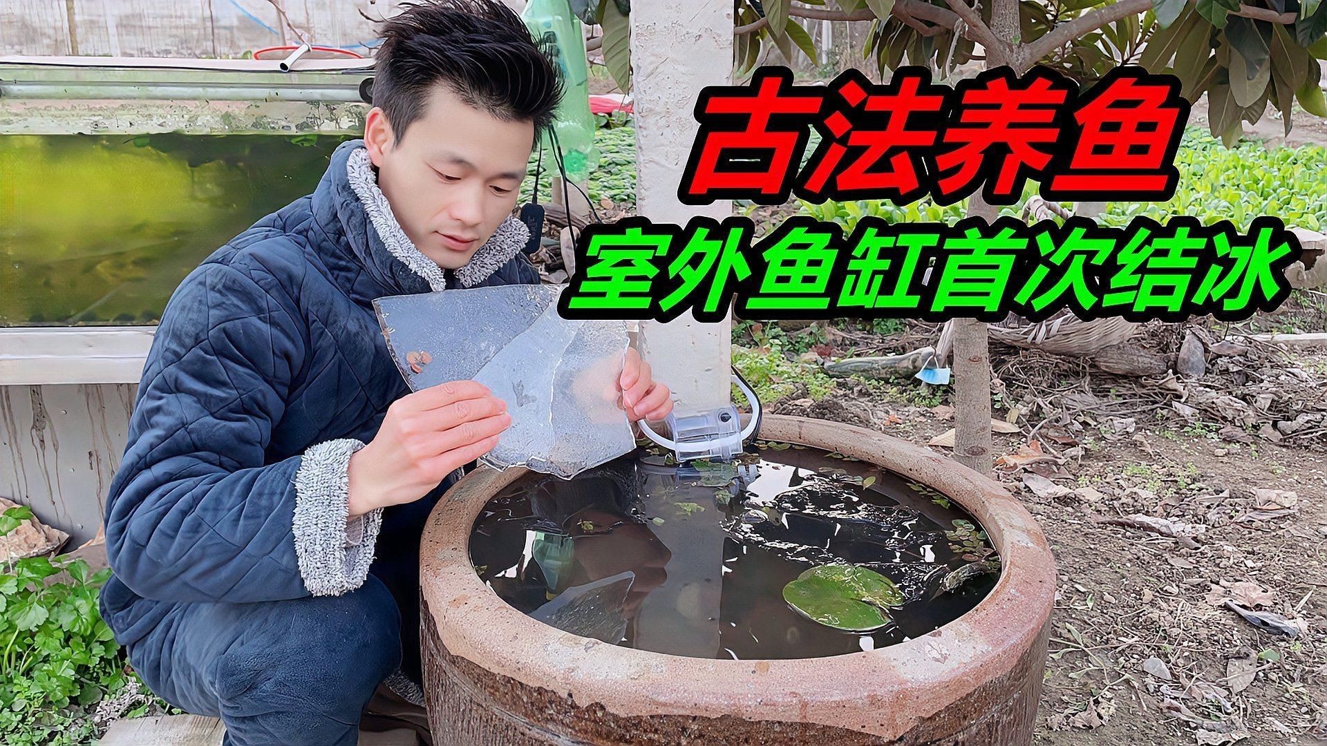 露天大缸養(yǎng)魚注意什么，《露天大缸養(yǎng)魚注意什么》