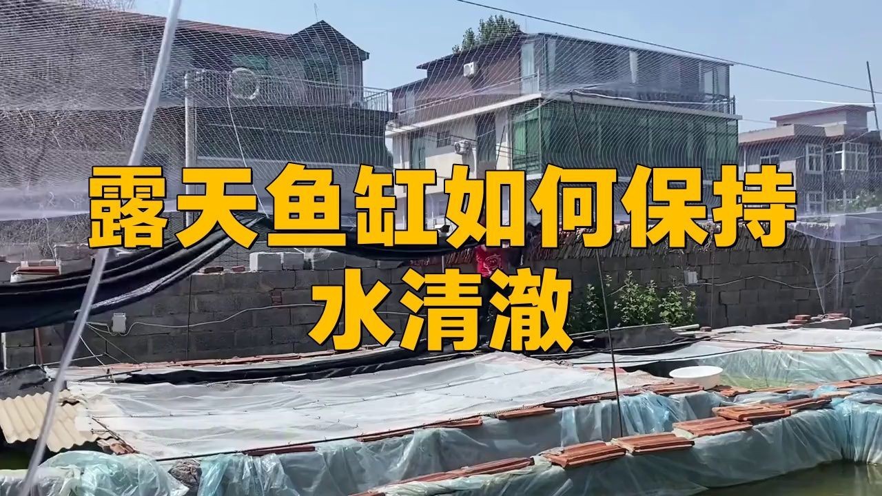 露天大缸養(yǎng)魚注意什么，《露天大缸養(yǎng)魚注意什么》