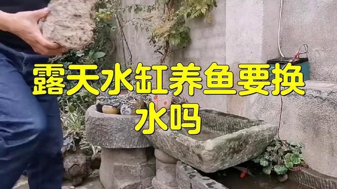 露天大缸養(yǎng)魚注意什么，《露天大缸養(yǎng)魚注意什么》