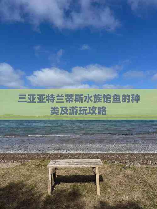 三沙水族店，三亞亞特蘭蒂斯水族館探秘欣欣love到處走走三沙水族店有潛水體驗嗎