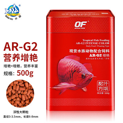 紅龍魚上色過程：紅龍魚的上色過程