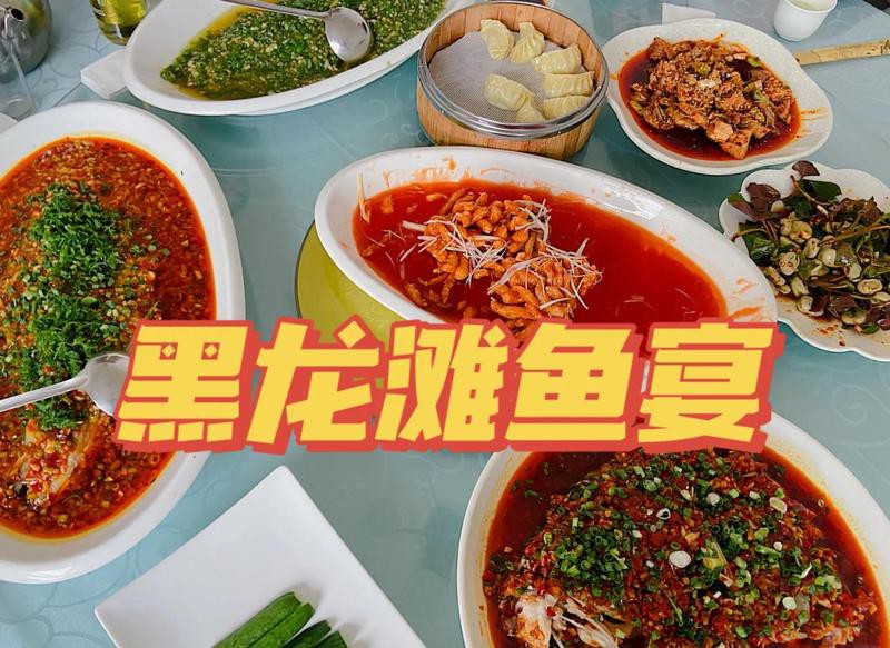 仁壽龍魚店，仁壽龍魚店為什么會注銷