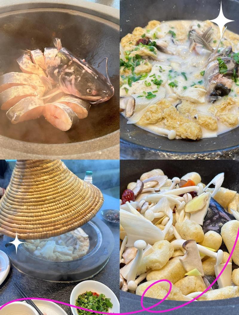 九江龍魚店，九江水族館|九江水族館|祥龍魚場九江分店