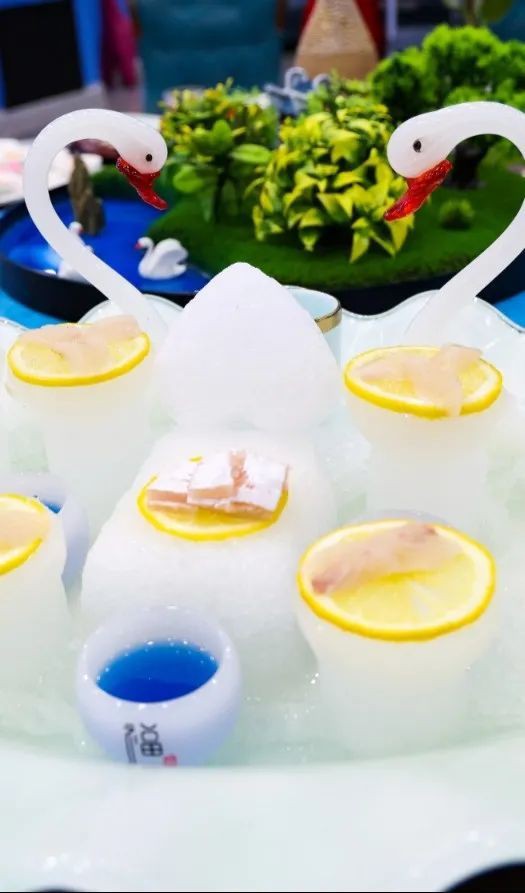 博爾塔拉蒙古龍魚店，博樂市龍魚宮寵物店的具體地址在哪里