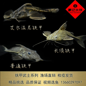 深圳市南山區(qū)鳳凰花苑花店
