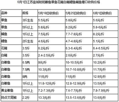 創寧加熱棒50w實時功率高(創寧加熱棒溫度準不準)
