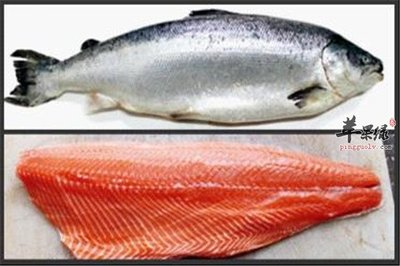 森森凈水靈有用嗎