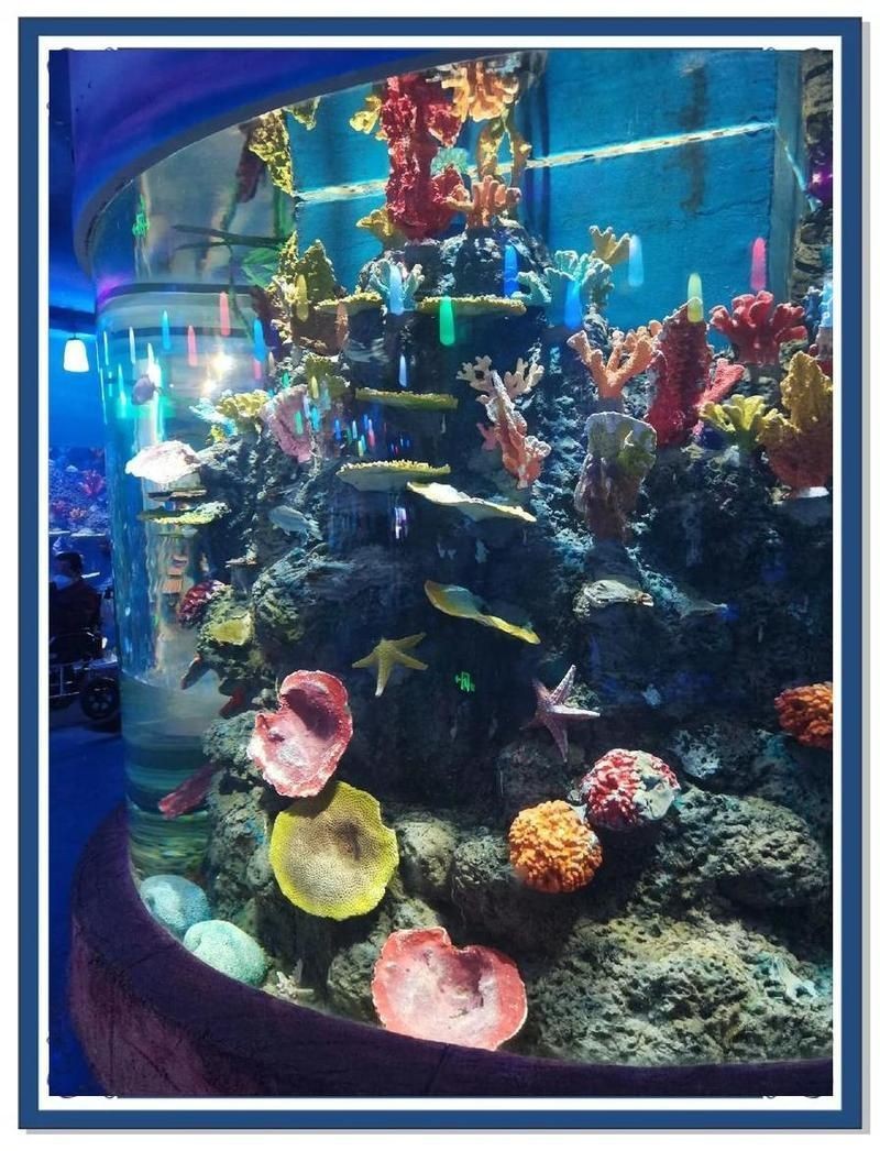 海口水族店，海口海洋主題水族店