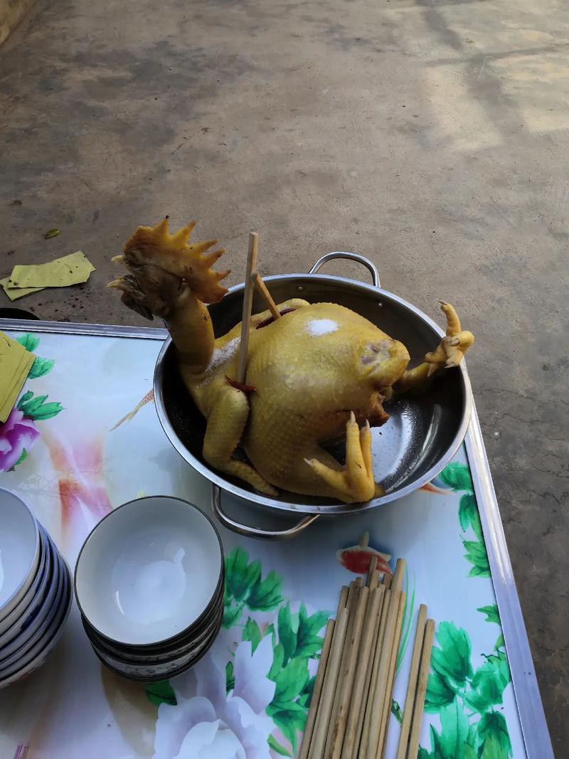 保家仙雞頭朝向正確圖，保家仙雞頭朝向的正確圖示