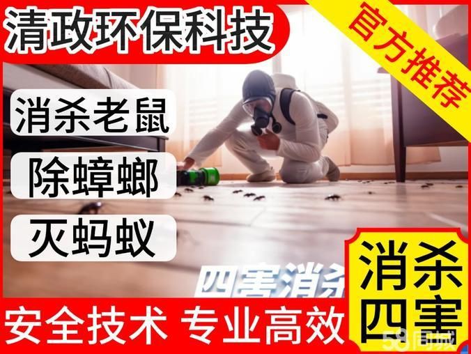 滅老鼠上門(mén)服務(wù)，“滅老鼠上門(mén)服務(wù)”應(yīng)運(yùn)而生，滅老鼠上門(mén)服務(wù)綜合信息整理