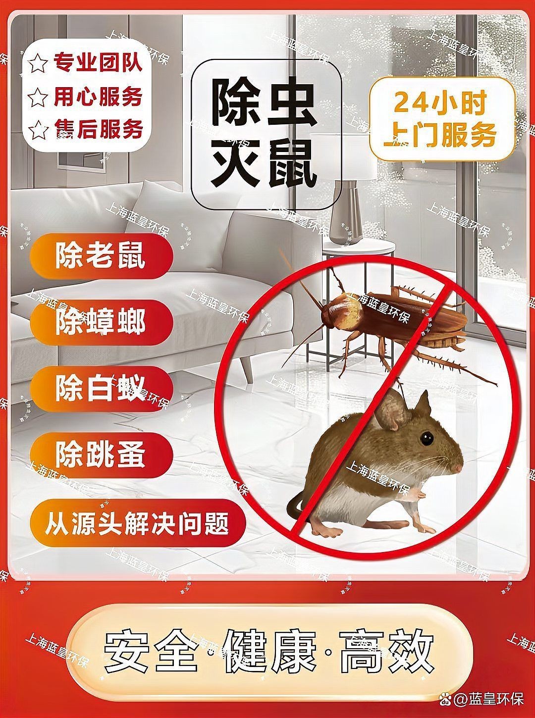滅老鼠上門(mén)服務(wù)，“滅老鼠上門(mén)服務(wù)”應(yīng)運(yùn)而生，滅老鼠上門(mén)服務(wù)綜合信息整理