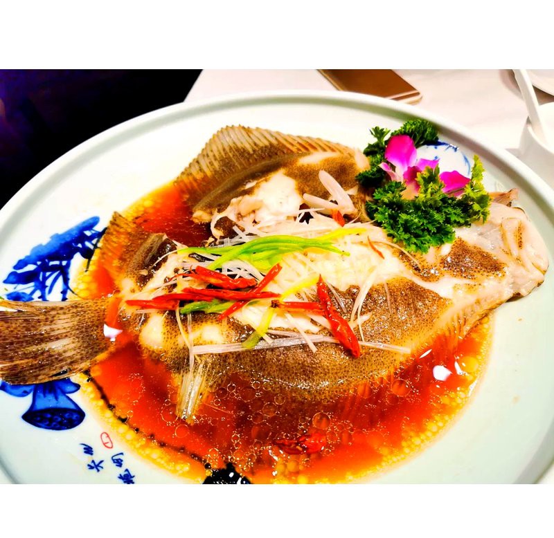 東崗龍魚店，東崗地區有哪些知名的龍魚店？