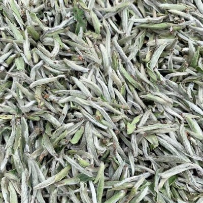 黑帝王魟魚孕期營養補充方案：“黑帝王魟魚孕期營養補充方案”查詢無法直接提供具體信息