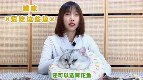 貓咪最愛吃的四種魚，貓咪對魚類有著天然的喜愛