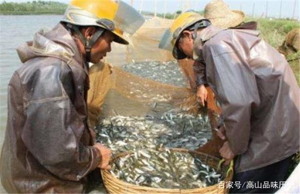 創(chuàng)寧水泵售后服務電話地址在哪里啊，創(chuàng)寧水泵廠家地址