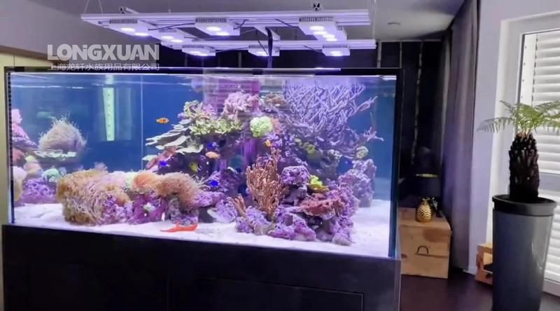 三亞魚缸定做，三亞大型亞克力魚缸定做