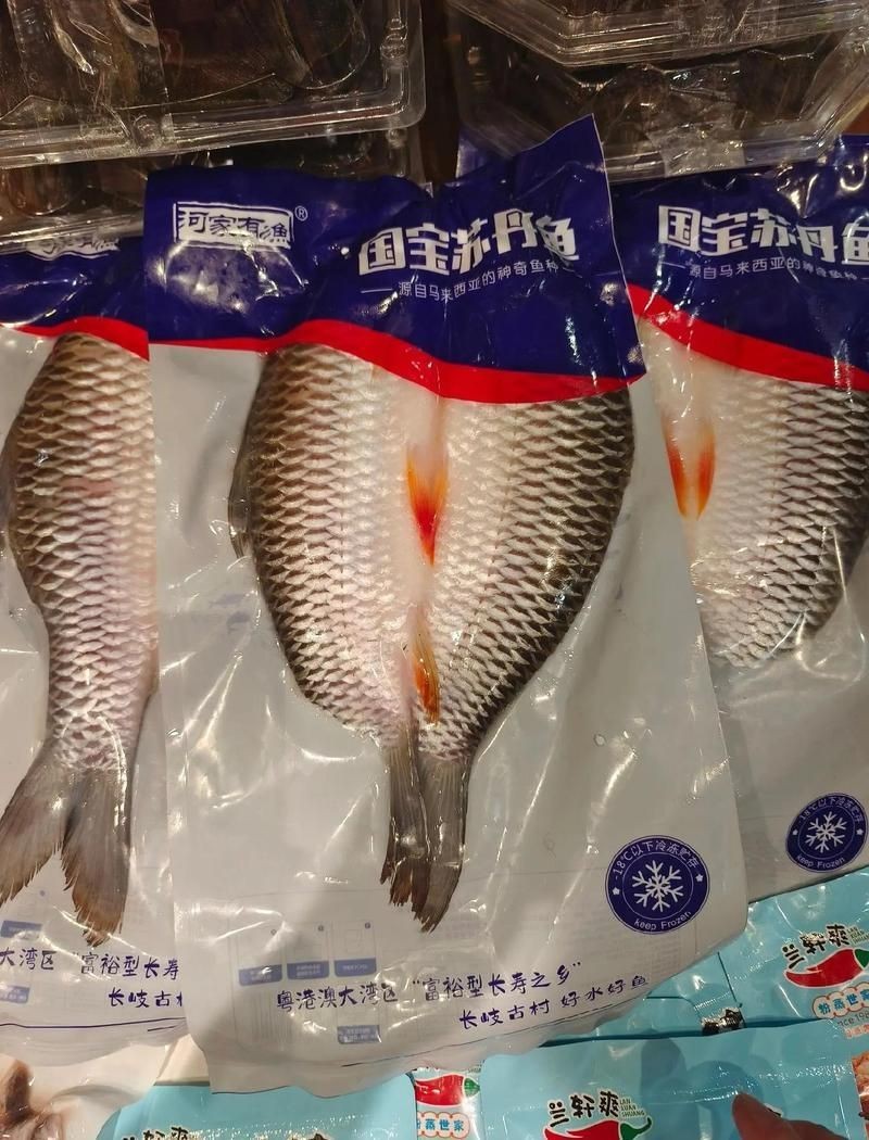 皇帝魚屬于什么魚，皇帝魚有哪些常見的品種