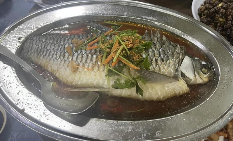 皇帝魚屬于什么魚，皇帝魚有哪些常見的品種