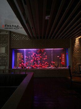 淮安水族批發市場，淮安水族批發市場是當地重要的水產及觀賞魚交易集散地