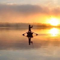 禁用忘不了魚有啥后果，《國禁用忘不了魚有啥后果沖擊