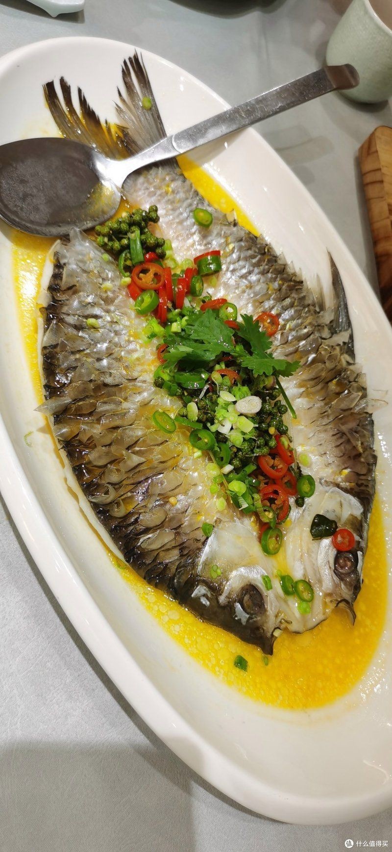 禁用忘不了魚有啥后果，《國禁用忘不了魚有啥后果沖擊