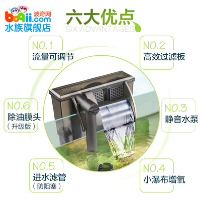 怎么樣養銀龍魚又白又亮又好看呢(怎么樣能將銀龍魚養的越來越亮)
