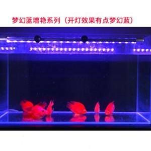 紅海魚缸燈設置紅海魚缸燈的設置和魚缸燈的設置標準：紅海魚缸燈的設置和魚缸溫度