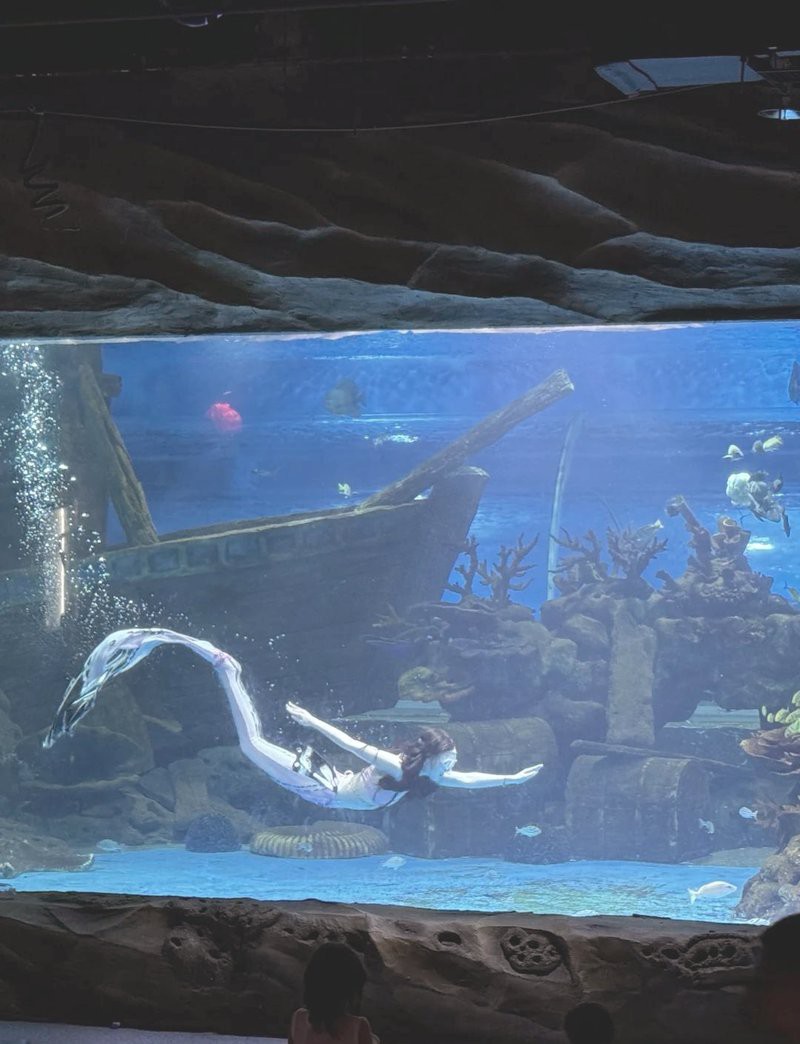 呼市水族店，呼和浩特哪家水族店口碑最好