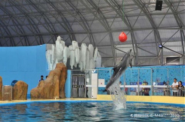 呼市水族店，呼和浩特哪家水族店口碑最好