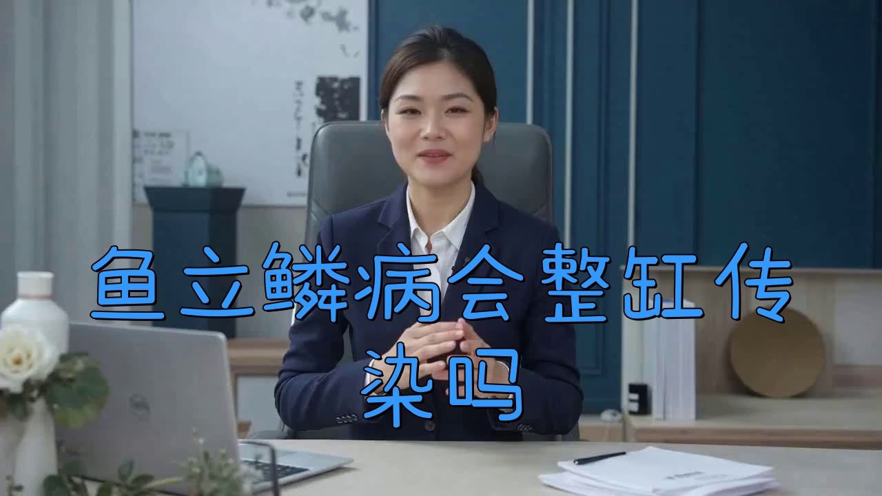 立鱗病會傳染給其他魚嗎？，小新的正能量發射站，魚豎鱗病大揭秘